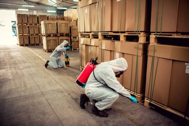 Best Bed Bug Extermination  in Simonton Lake, IN