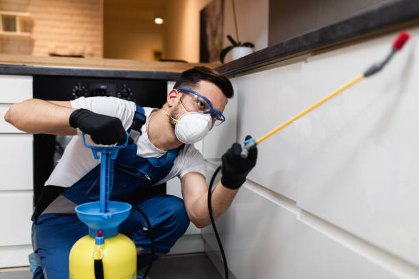 Best Rat Extermination Near Me  in Simonton Lake, IN