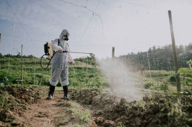 Best Pest Removal Services  in Simonton Lake, IN