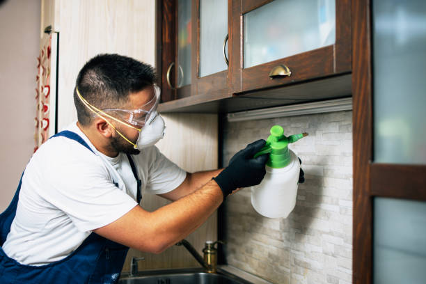 Best Wasp Removal Services  in Simonton Lake, IN