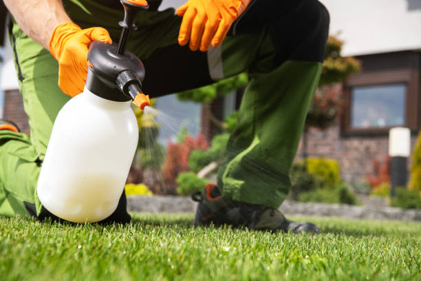 Best Best Pest Control Companies  in Simonton Lake, IN
