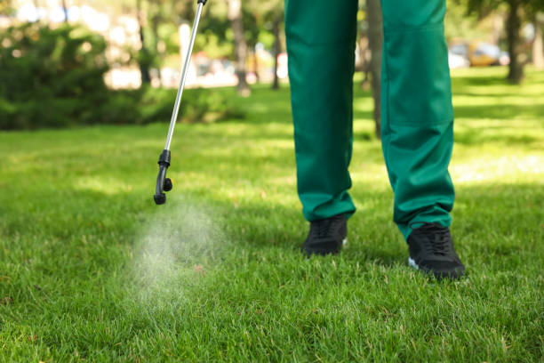 Best Local Pest Control Services  in Simonton Lake, IN