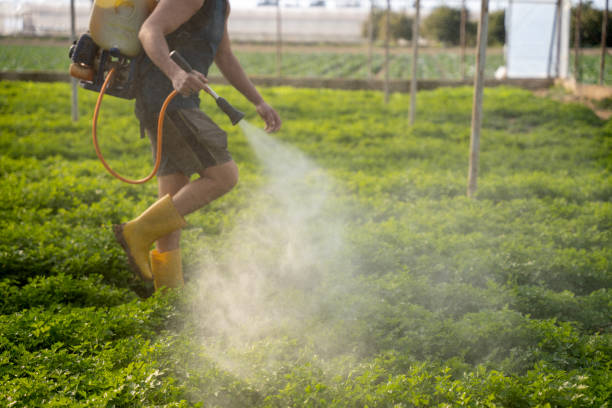 Best Best Pest Control Companies  in Simonton Lake, IN