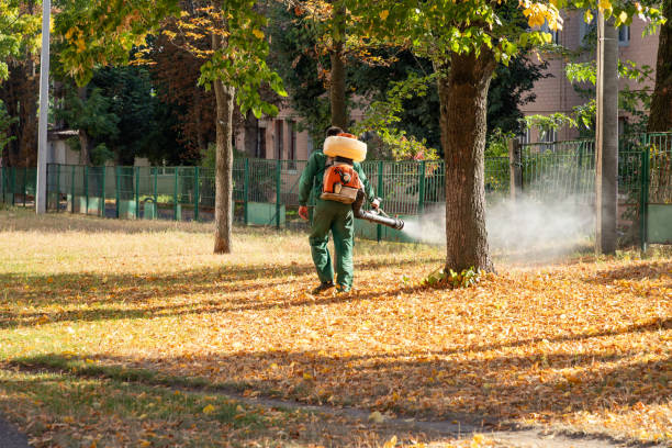 Best Residential Pest Control  in Simonton Lake, IN