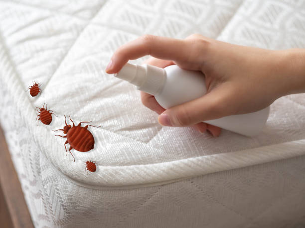Best Pest Inspection Near Me  in Simonton Lake, IN