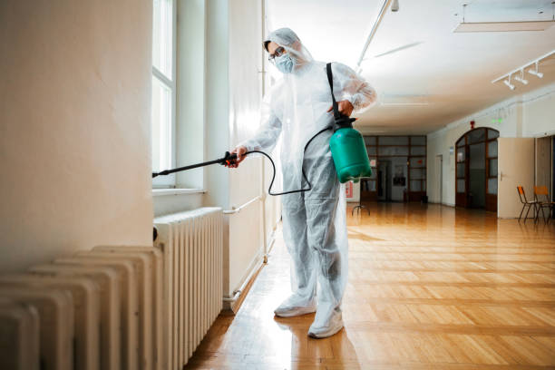 Best Flea Control Services  in Simonton Lake, IN