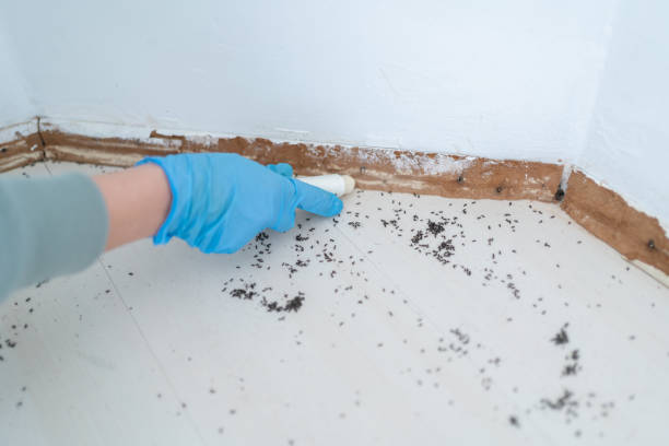 Best Commercial Pest Control Services  in Simonton Lake, IN