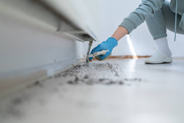 Pest Control for Restaurants in Simonton Lake, IN