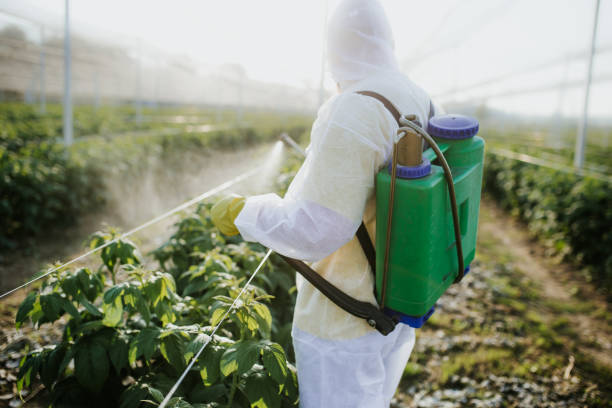 Professional Pest Control in Simonton Lake, IN